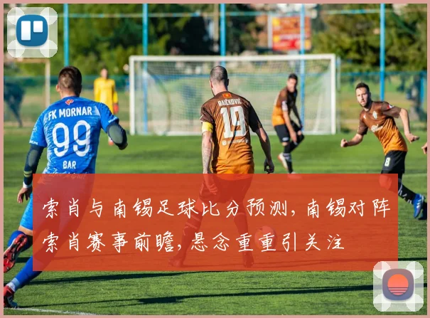 索肖与南锡足球比分预测,南锡对阵索肖赛事前瞻,悬念重重引关注
