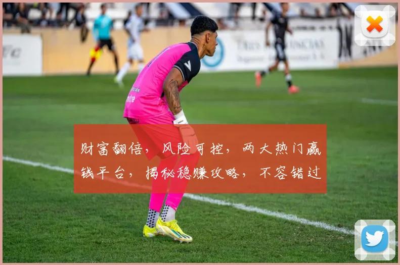 财富翻倍，风险可控，两大热门赢钱平台，揭秘稳赚攻略，不容错过