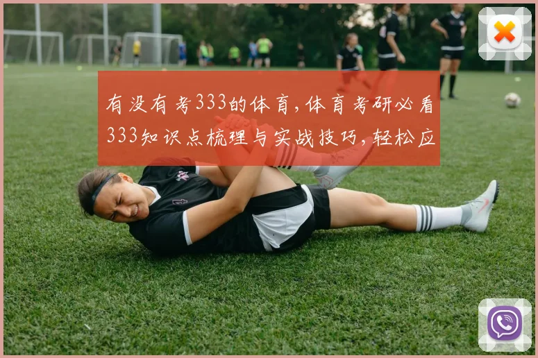 有没有考333的体育,体育考研必看333知识点梳理与实战技巧,轻松应对