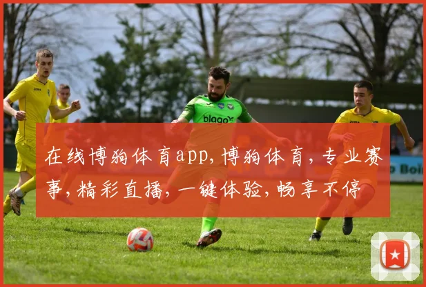 在线博狗体育app,博狗体育,专业赛事,精彩直播,一键体验,畅享不停