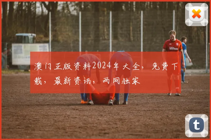 澳门正版资料2024年大全，免费下载，最新资讯，两网独家