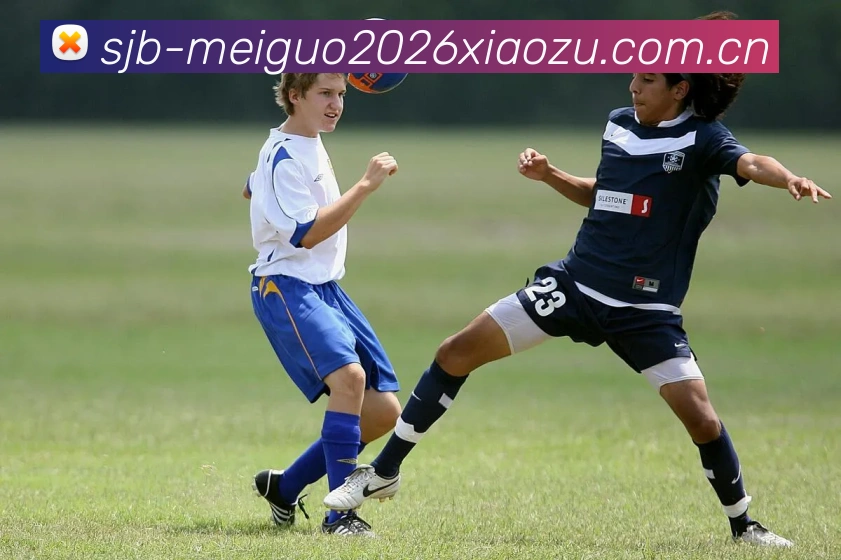 美国世界杯2026小组平台生态图